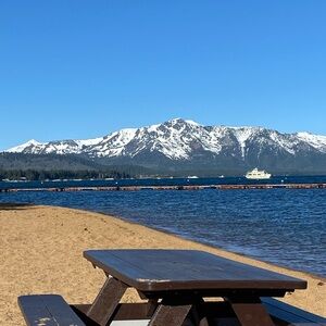 Meet your Posher, Reina